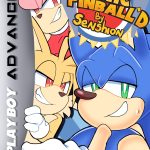 Sonic Pinball'd porn comic picture 1