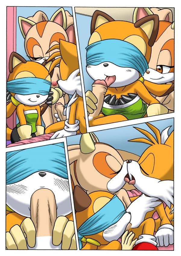 Sonic Project XXX 2.5 porn comic picture 3