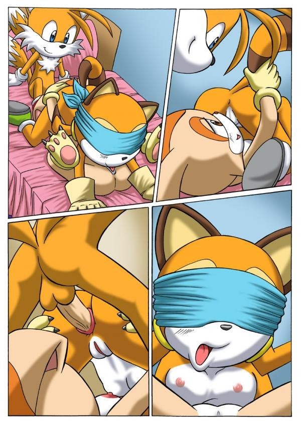 Sonic Project XXX 2.5 porn comic picture 5