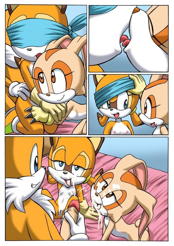 Sonic Project XXX 2.5 porn comic picture 7