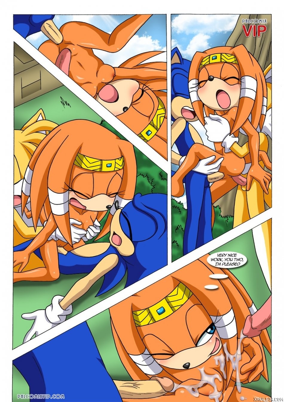 Mario and Sonic porn comic picture 2