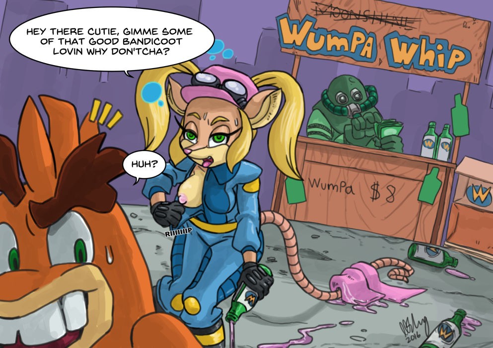 Crash Bandicoot PORNED porn comic picture 12