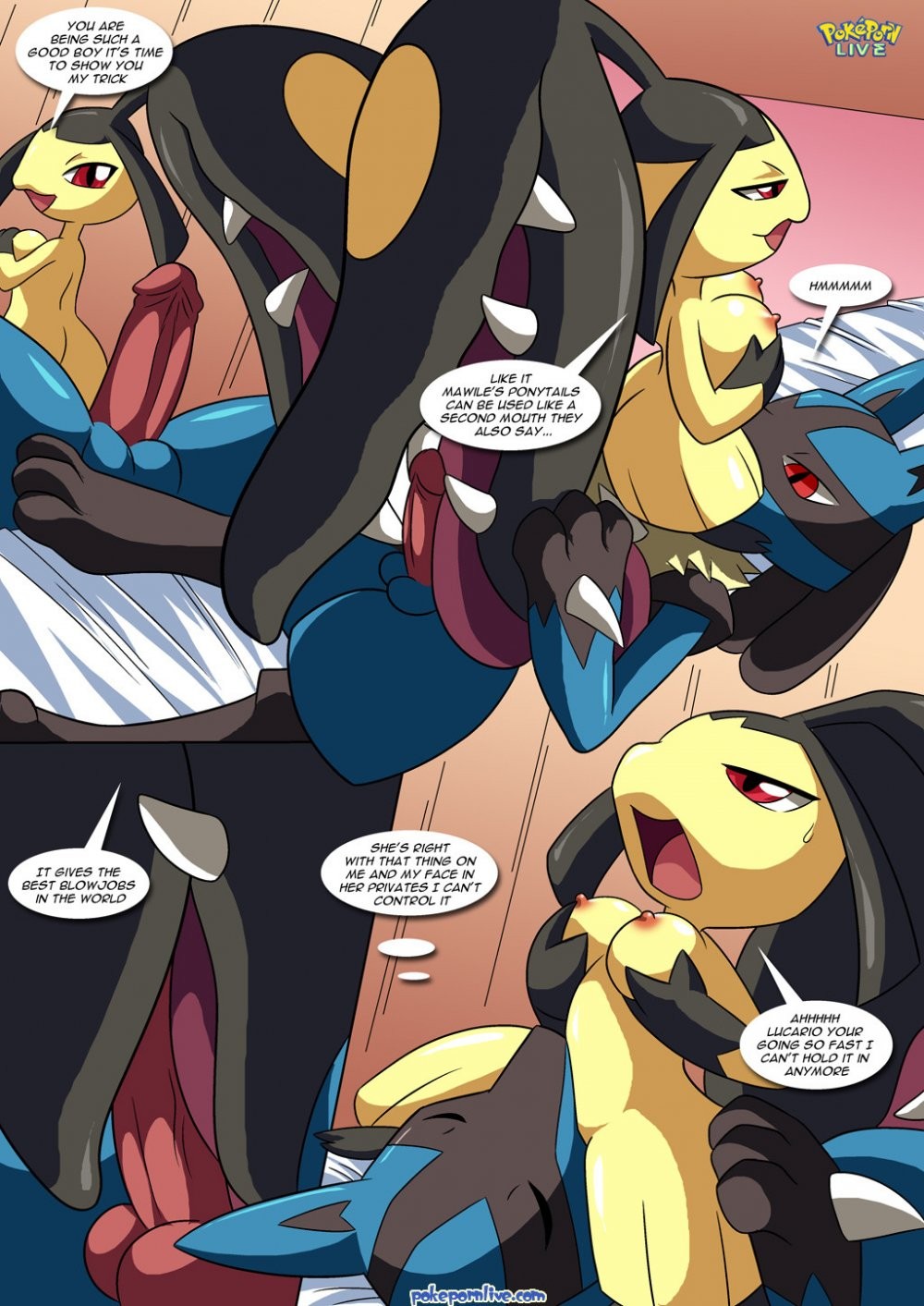 Lucario’s Gift porn comic picture 11