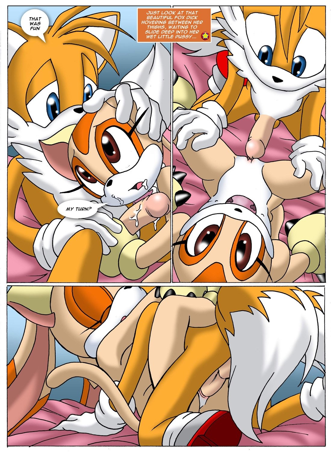 Sonic XXX Project 2 porn comic picture 11