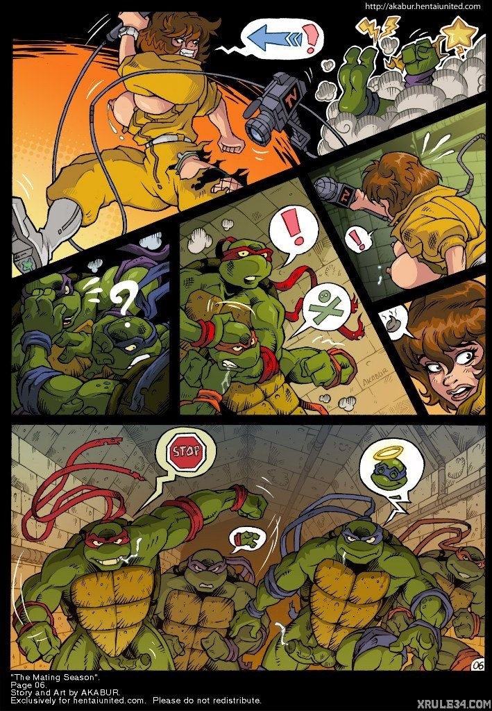 Turtles porn comic picture 7